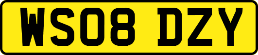 WS08DZY