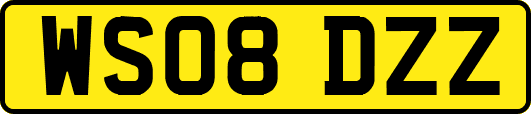 WS08DZZ