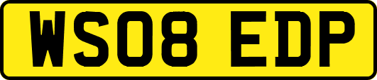 WS08EDP