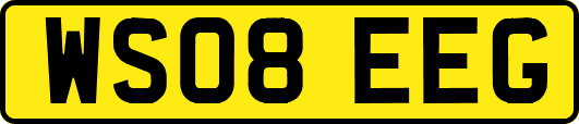 WS08EEG