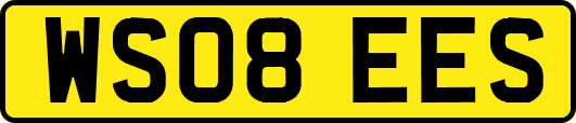WS08EES