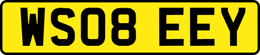 WS08EEY