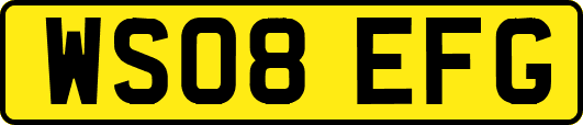 WS08EFG