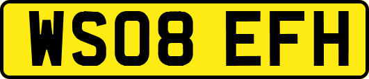 WS08EFH
