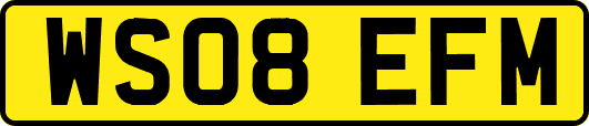 WS08EFM