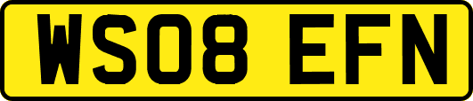 WS08EFN
