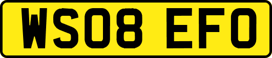 WS08EFO