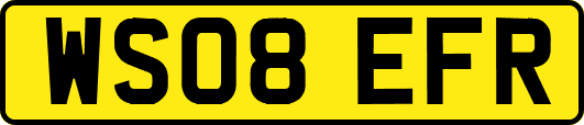 WS08EFR