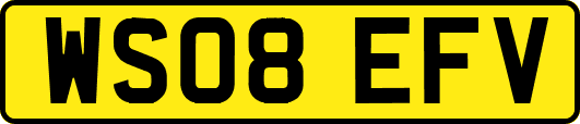WS08EFV