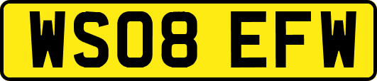 WS08EFW
