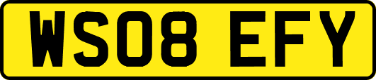 WS08EFY