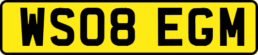 WS08EGM