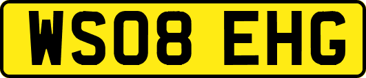 WS08EHG