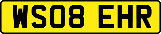 WS08EHR