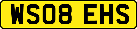 WS08EHS