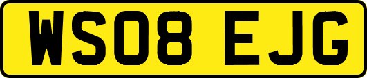 WS08EJG