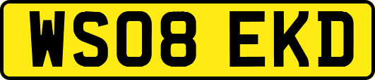 WS08EKD