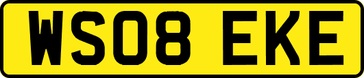 WS08EKE