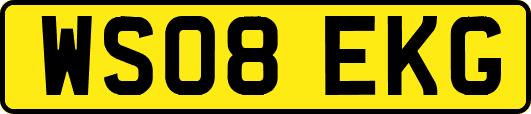 WS08EKG