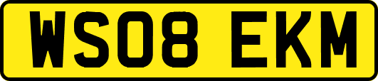 WS08EKM