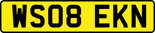 WS08EKN