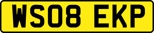 WS08EKP