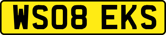 WS08EKS