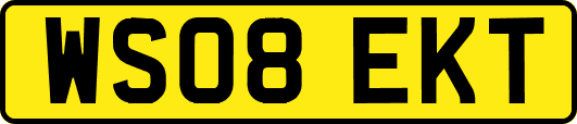 WS08EKT