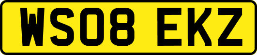 WS08EKZ