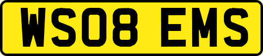WS08EMS