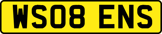 WS08ENS
