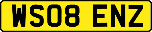 WS08ENZ