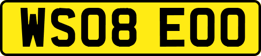 WS08EOO