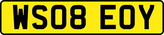 WS08EOY