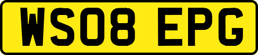 WS08EPG