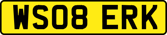 WS08ERK