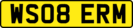 WS08ERM
