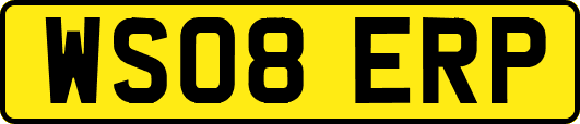 WS08ERP