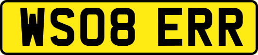 WS08ERR