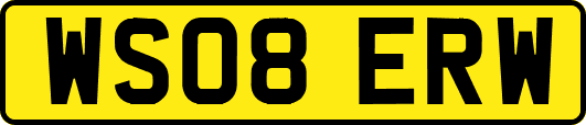 WS08ERW