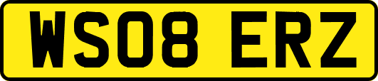 WS08ERZ