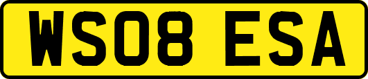 WS08ESA