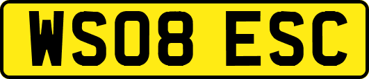 WS08ESC