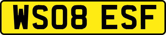 WS08ESF