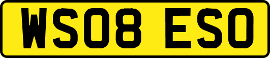WS08ESO