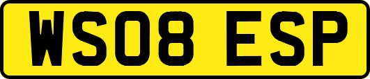 WS08ESP