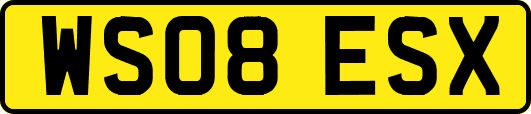 WS08ESX