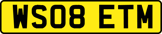 WS08ETM