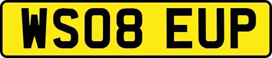 WS08EUP