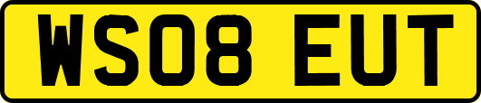 WS08EUT